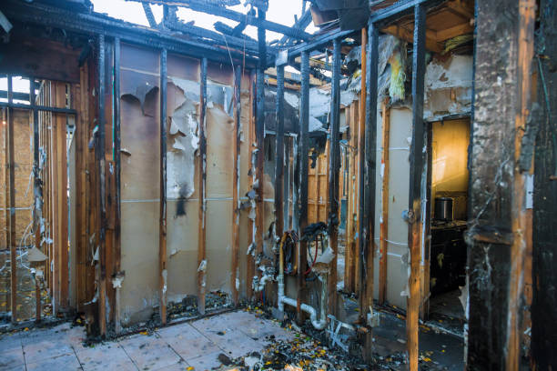 Professional Fire Damage Removal technician working in Solon, OH